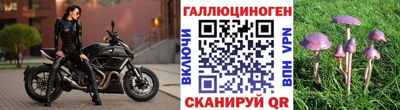 блэк спрут ссылка купить наркоту Нестеровская Галлюциногенные грибы мицелий